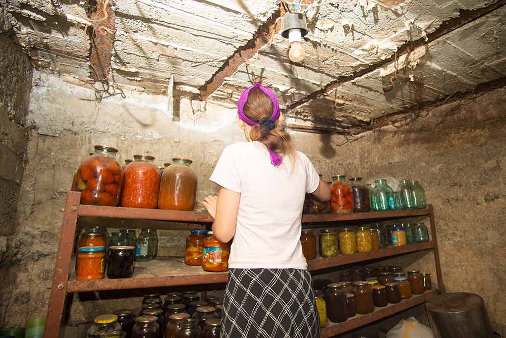 woman organizing jars on shelves in a rustic cellar